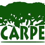 CARPE